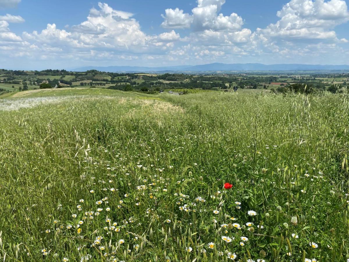 Agriturismo La Collina Siena Eksteriør bilde