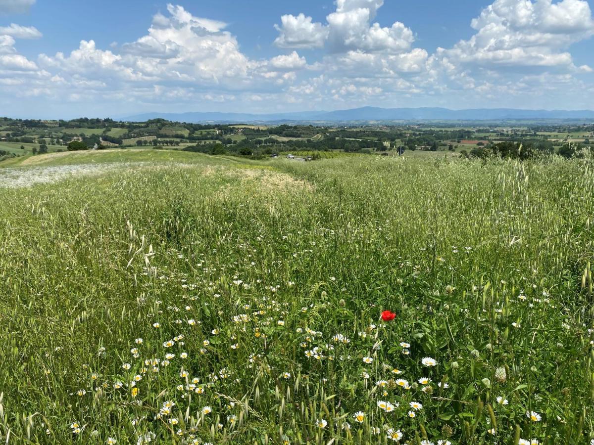 Agriturismo La Collina Villa Siena Eksteriør bilde