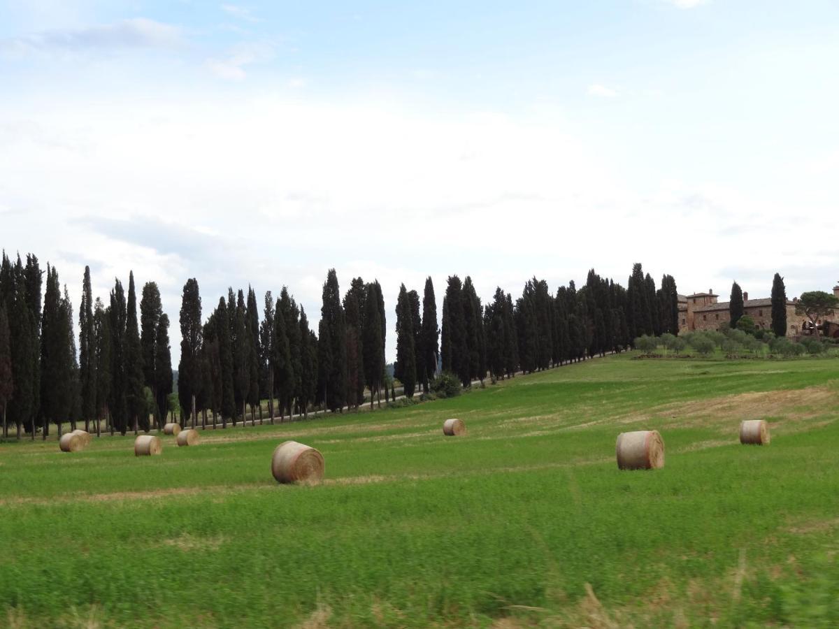 Agriturismo La Collina Villa Siena Eksteriør bilde