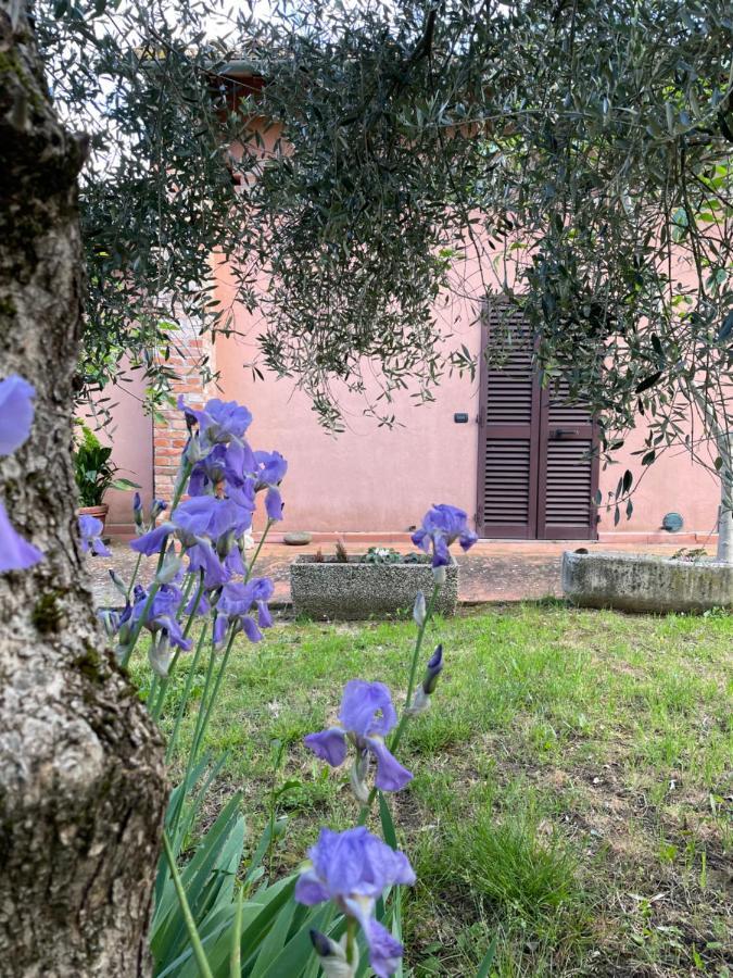 Agriturismo La Collina Siena Eksteriør bilde