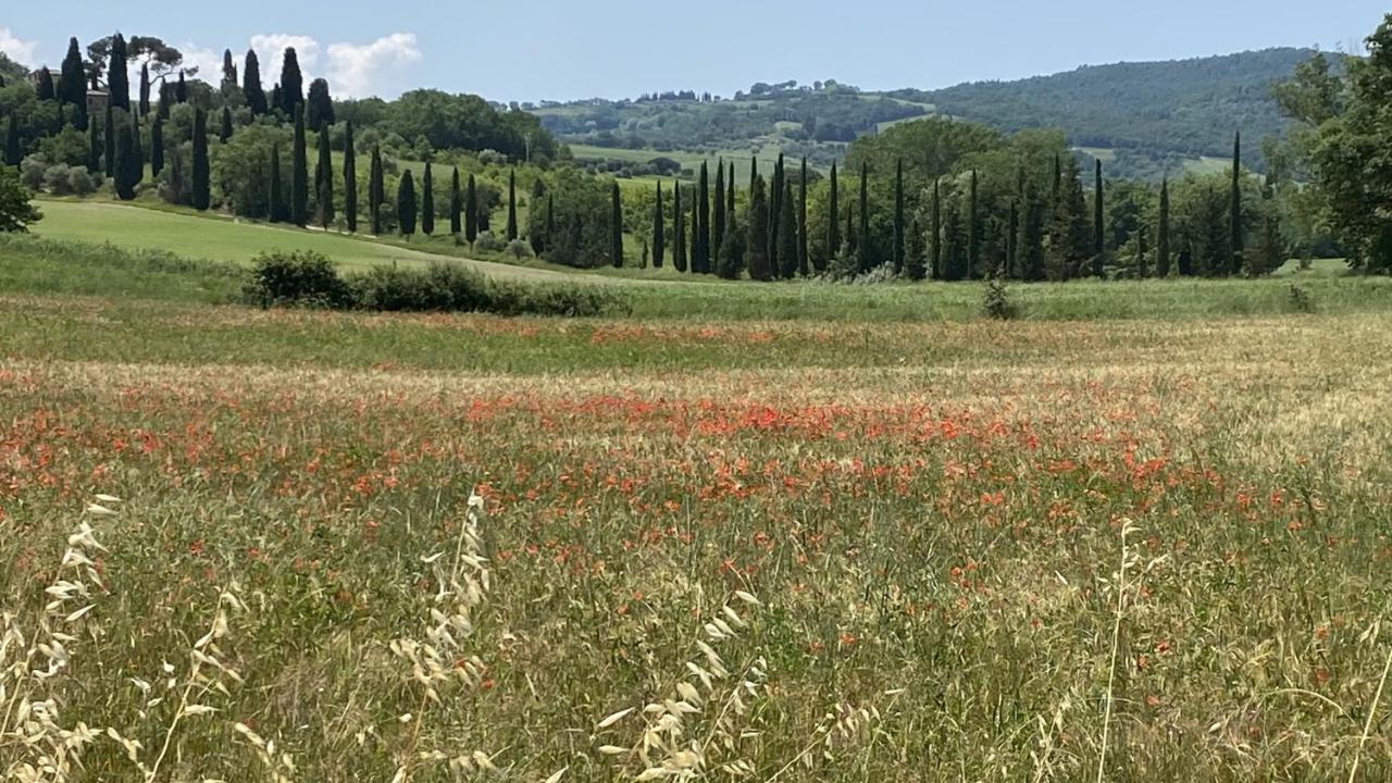 Agriturismo La Collina Villa Siena Eksteriør bilde