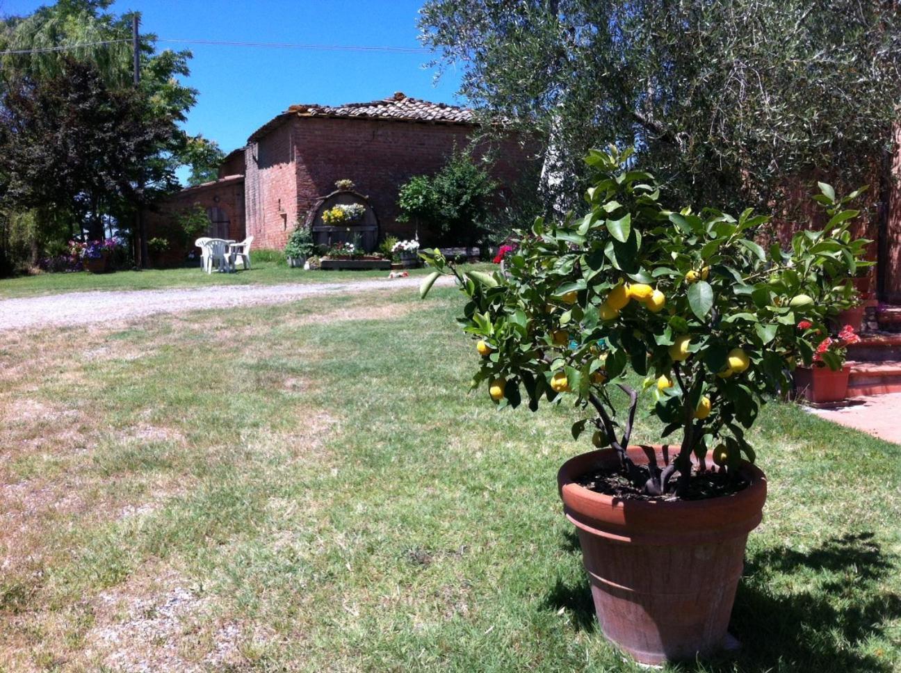 Agriturismo La Collina Siena Eksteriør bilde